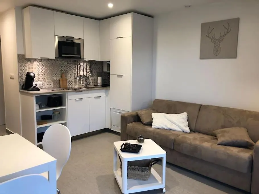 Le Lioran, La Sumene, Studio Balcon Tout Confort Aux Pieds Des Pistes Laveissiere 0*,  France